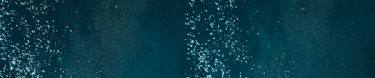 Oliver Sjostrom 6Ih Qd2kplk Unsplash